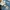 Carhartt Streetwear Casual Hat Pria Blue
