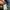 Carhartt Streetwear Casual Hat Pria blue photo 3