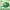 Streetwear Hat Pria green photo 3