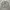 Luxury Casual Sweater Wanita gray photo 1