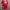 Umbro Sportswear Jersey Kids red photo 2