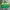 Oakley Y2K Jersey Pria green yellow photo 4