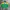 Oakley Y2K Jersey Pria green yellow photo 1