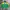 Oakley Y2K Jersey Pria Green Yellow