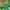 Oakley Y2K Jersey Pria green yellow photo 6