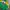 Oakley Y2K Jersey Pria green yellow photo 2