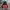 Vintage Streetwear Windbreaker Pria red yellow photo 1