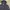 Patagonia Sportswear Suit Pria Navy