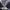 Vintage Y2K Cardigan Pria gray photo 3