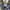 Vintage Y2K Cardigan Pria gray photo 4