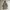 JOURNAL STANDARD Casual Parka Wanita brown photo 2