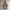 JOURNAL STANDARD Casual Parka Wanita Brown