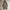 JOURNAL STANDARD Casual Parka Wanita Brown