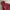 Uniqlo Sportswear Windbreaker Pria burgundy photo 2