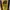 The North Face Sportswear Casual Bag Pria yellow photo 2