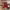 Adidas Casual Sneakers Pria red photo 6
