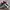 Adidas Vintage Y2K Sneakers Pria White Black