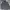 Tommy Hilfiger Streetwear Casual Sweatshirt Pria Gray