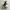 Adidas Vintage Y2K Boots Wanita white black photo 1