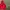 Issey Miyake Y2K Hoody Pria red photo 2
