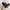 Lee Vintage Y2K Boots Pria brown photo 2