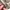 Dickies Casual Sweater Pria white red photo 4