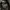 Casual Puffer jacket Pria brown black photo 4