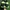 Adidas formel 1  photo 6