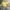 Vintage Bomber jacket Pria yellow photo 2
