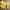 Vintage Bomber jacket Pria yellow photo 3