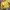 Vintage Bomber jacket Pria yellow photo 4