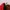 Lacoste Casual Tote bag Wanita red photo 4