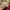 Michael Kors Luxury Casual Bucket bag Wanita tan photo 4