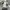 Vivastudio Streetwear Sweater Pria gray photo 4