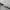 Seiko Vintage Casual Pria silver white black photo 6