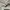 Sculptor Streetwear Sweater Pria cream photo 4