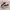 VANS Emo Casual Sneakers Pria white red black photo 1