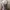 H&M Y2K Casual Bandeau top Wanita gray photo 2
