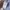 Fred Perry Luxury Casual Formal shirt Pria blue photo 5