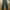 Streetwear Y2K Jeans Pria blue photo 1