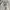ZARA Streetwear Casual Hoody Pria white photo 7