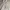 ZARA Streetwear Casual Hoody Pria white photo 4