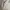 ZARA Streetwear Casual Hoody Pria white photo 2