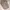 Eiger Vintage Hat Pria tan photo 1