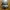 Yeezy Streetwear Casual Sneakers Pria White Gray