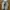 Yeezy Streetwear Casual Sneakers Pria white gray photo 4