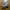 Yeezy Streetwear Casual Sneakers Pria white gray photo 3