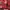 Moschino Indie Shoulder bag Wanita red photo 1