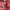 Moschino Indie Shoulder bag Wanita red photo 2