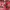 Moschino Indie Shoulder Bag Wanita Red